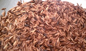 Browning Orzo